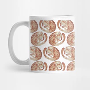 Sleeping Cat Pattern Mug